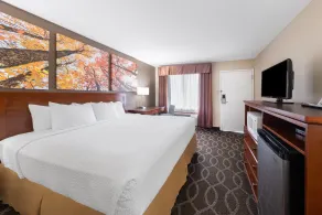 Days Inn by Wyndham St. Robert Waynesville/Ft. Leonard Wood - Chambre