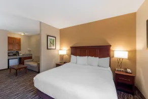 Best Western Plus Russellville Hotel & Suites - Værelse