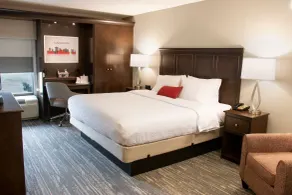 Hampton Inn Tuscaloosa-University - Chambre