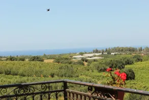 B&B Torre di Cicala - Vista dalla camera