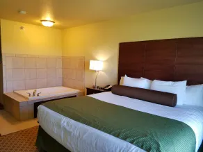 Cobblestone Inn & Suites - Bottineau - Room