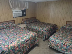 Davis Motel - Chambre