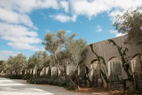 Hotel Andana Winery & Spa - Ausblick vom Zimmer