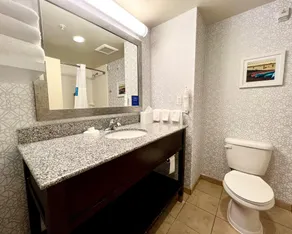 Hampton Inn & Suites Wilmington Christiana - Salle de bain