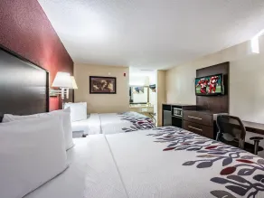 Red Roof Inn Orlando South - Florida Mall - Chambre