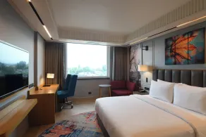 Ramada Encore by Wyndham Rajbagh Srinagar - Værelse