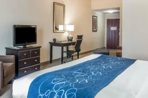 Comfort Suites South Bend Near Casino - Salle de bain