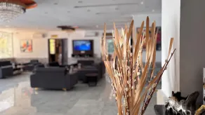 Hotel Reem - Reception