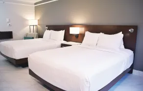 The Fontana Hotel - Chambre