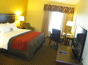 Comfort Inn & Suites Regional Medical Center - Vue de la chambre