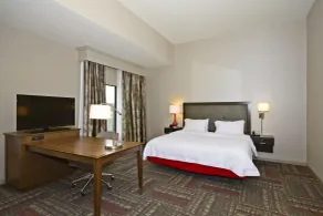 Hampton Inn Pulaski - Camera