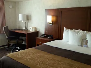 Comfort Inn Watsonville - Chambre