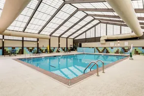 Holiday Inn St. Louis Airport West Earth City by IHG - Piscine