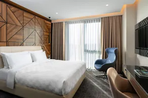 Radisson Blu Hotel, Sakarya - Room