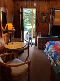 Pine Tree Motel & Cabins - Camera