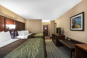 Comfort Inn Bay City - Riverfront - Chambre