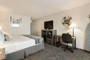 American Inn & Suites Metro Airport - Chambre