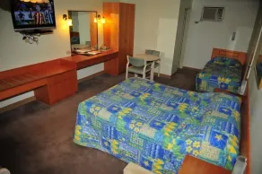 Mildura Plaza Motor Inn - Room
