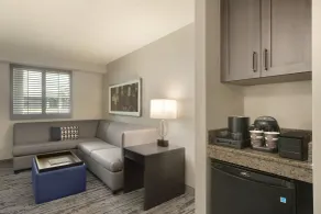 Embassy Suites by Hilton Atlanta at Centennial Olympic Park - Vue de la chambre
