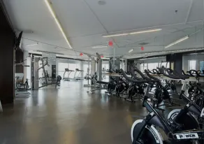 Velvet Vogue! - Fitness facility
