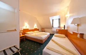 Hotel Ahl Meerkatzen - Rom