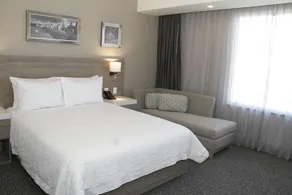 Hampton Inn & Suites by Hilton Puebla - Room
