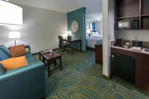 SpringHill Suites by Marriott Greensboro - Chambre