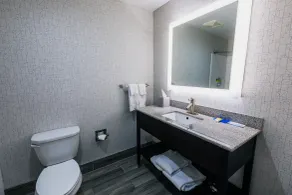 Holiday Inn Express Hotel & Suites Hamburg by IHG - Salle de bain