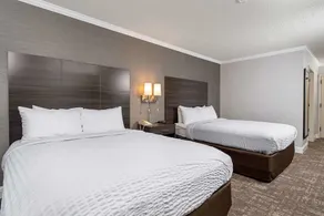 Clarion Inn Silicon Valley - Chambre