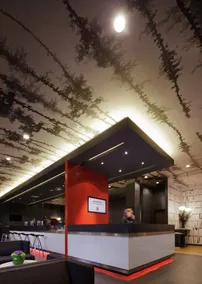 ibis London Shepherds Bush Hammersmith - Réception