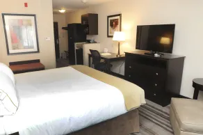 Holiday Inn Express & Suites Cambridge by IHG - Chambre