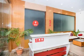 Hotel O Petunia Boutique Hotel - Receção