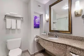 Best Western Medical Center North Inn & Suites Near Six Flags - Bathroom