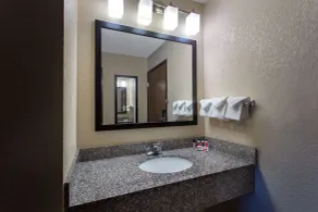 Ramada by Wyndham Glendale Heights/Lombard - Salle de bain