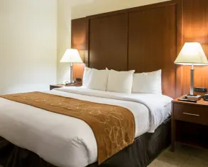 Comfort Suites Cumming-Atlanta near Northside Hospital Forsyth - Chambre