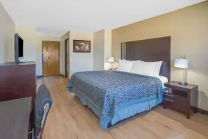 Days Inn by Wyndham Le Roy/Bloomington Southeast - Værelse