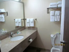 Quality Inn & Suites Mattoon South - Salle de bain