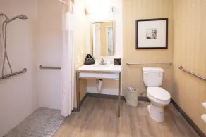 Hilton Garden Inn Seattle/Renton - Salle de bain