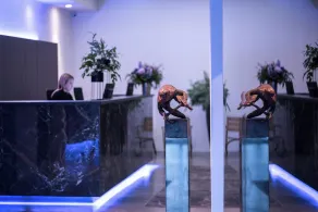 Hampshire Hotel – Voncken Valkenburg - Recepción