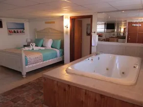 Green Dolphin - Chambre
