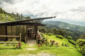Owl's Watch at Rio Blanco - Restaurant