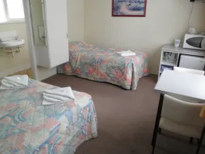 Norfolk Motor Inn - Room
