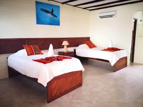 Arena Blanca Eco Hotel - Room