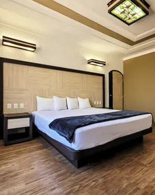 Hotel Paseo de la Presa - Room