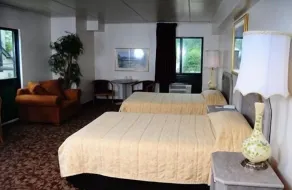 Amber Inn - Room