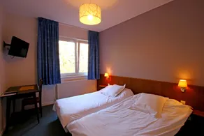 Logis Hôtel Auberge De La Foret - Værelse