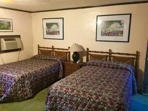 Cadillac Motel Fanning Springs - Zimmer