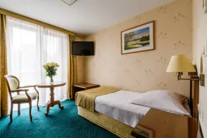 Hotel Boss - Room