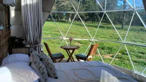 Berry Dome - View from room