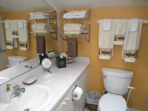 Ann Arbor Bed and Breakfast - Salle de bain